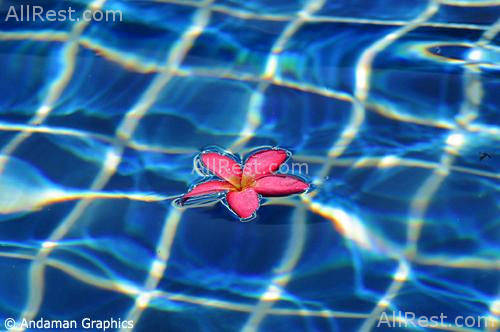 Deevana Patong Resort Spa 35